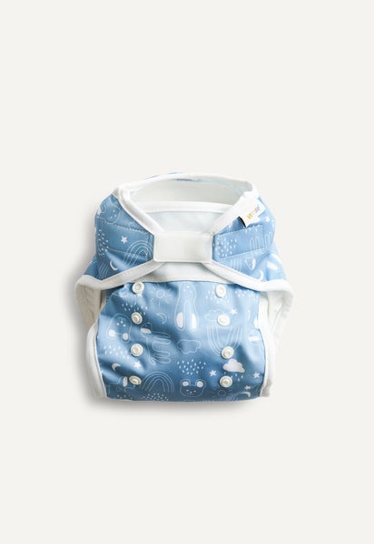 Diaper Cover - All in Two - Blue Teddy