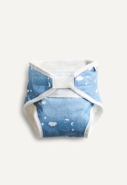 Cloth Diaper - All in One - Blue Teddy